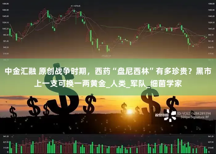 中金汇融 原创战争时期，西药“盘尼西林”有多珍贵？黑市上一支可换一两黄金_人类_军队_细菌学家