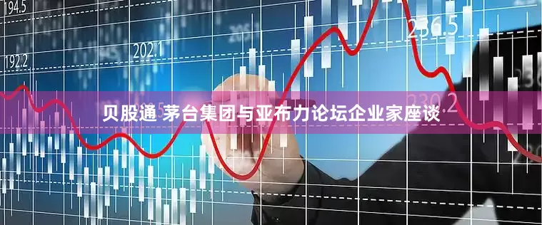 贝股通 茅台集团与亚布力论坛企业家座谈