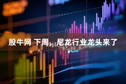 股牛网 下周，尼龙行业龙头来了